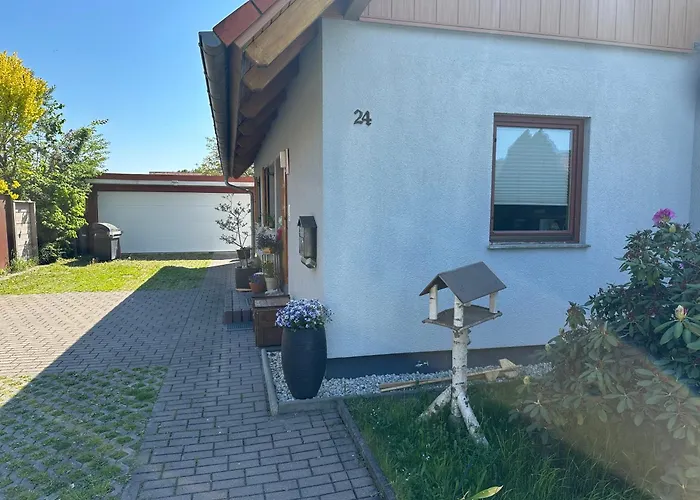 Rudolstadt-festival * Rudolstadt